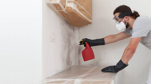 Professional Mold Removal technician working in Drewryville, VA