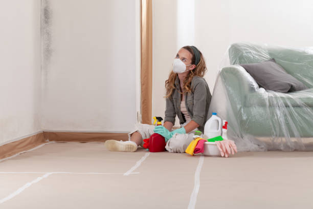 Reliable Mold Removal contractor in Drewryville, VA by WQB Mold Removal